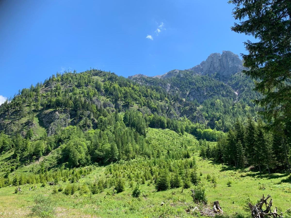 Apartment Kumitzblick Obersdorf Kültér fotó
